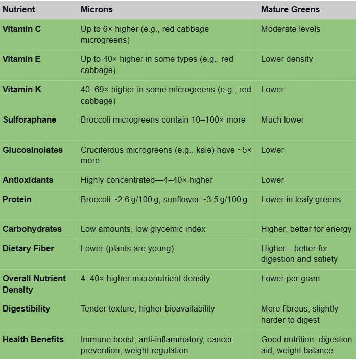 microgreens-nutrients
