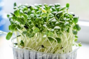 why microgreens becoming popular
